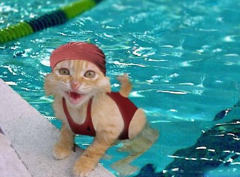 funny_swimming_picture_9-1